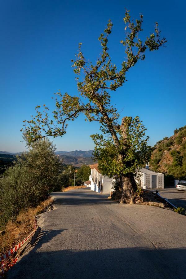 B&B Villa Deseada Periana Exterior photo